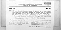 Libertella fusca image